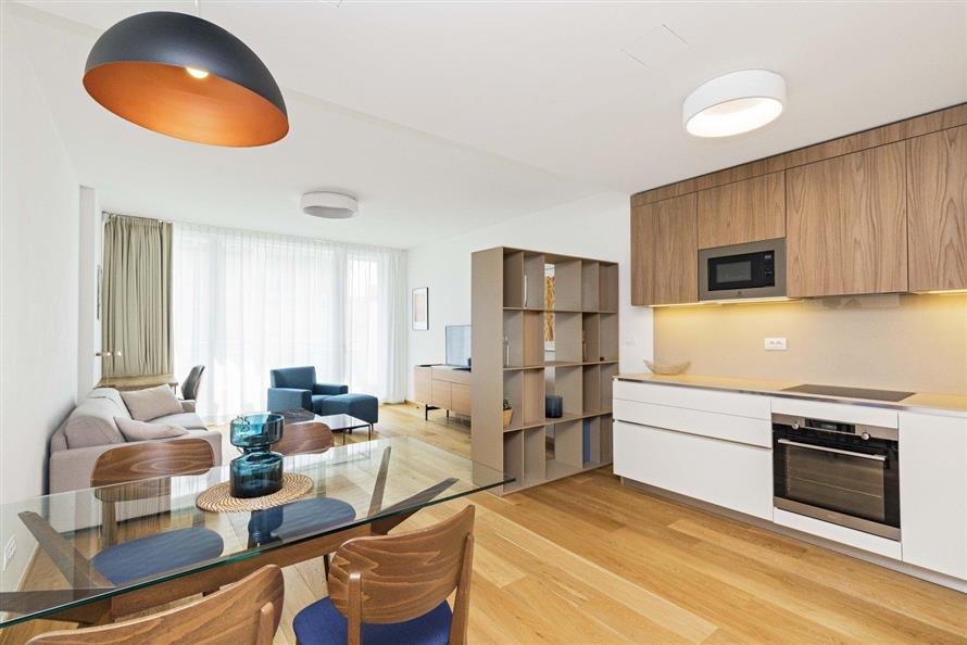 Air-conditioned Apartment with a terrace for rent : Praha 5 - Smíchov, Holečkova