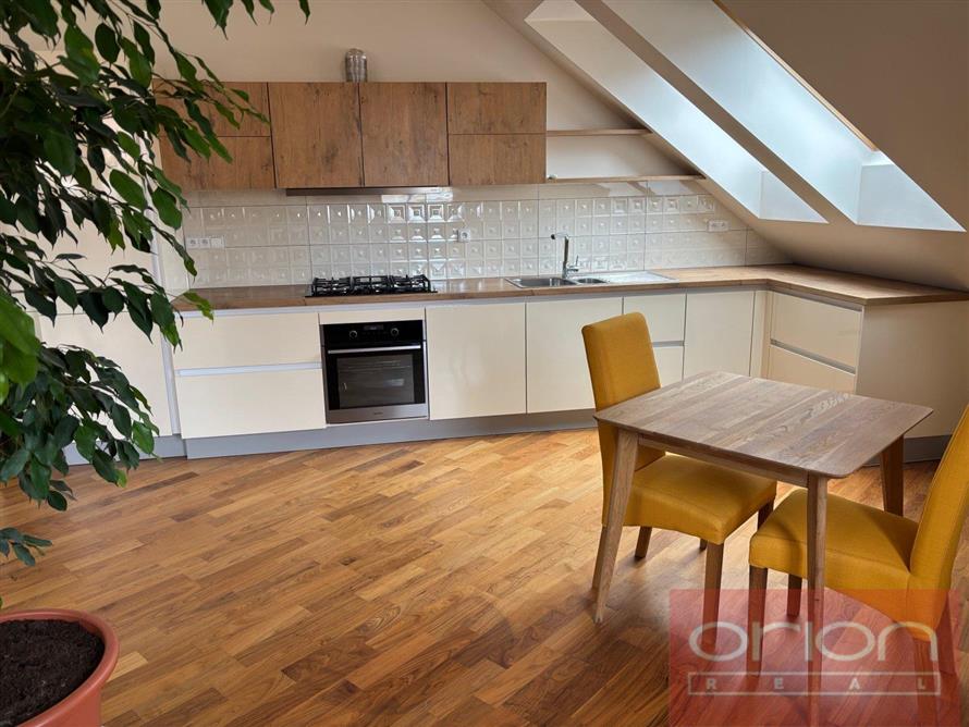 Duplex apartment for rent: Praha 3 - Žižkov, Kubelíkova