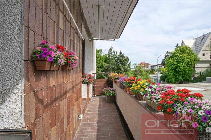 balkon kytky.jpg